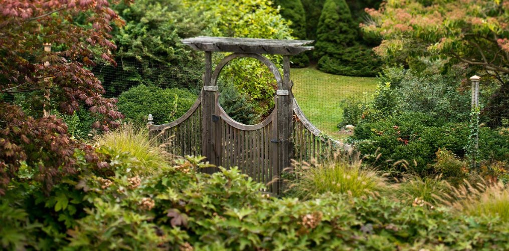 Connecticut College Arboretum, United States